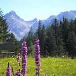 Garni Brigitte 2*