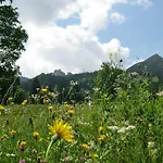 Garni Brigitte 2* بورسربيرغ