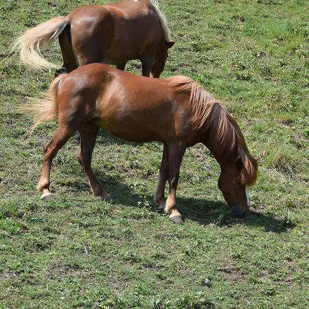 Garni Brigitte 2*