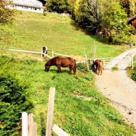 Garni Brigitte