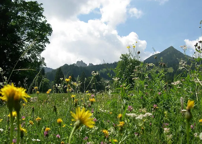 Garni Brigitte 2* Bürserberg
